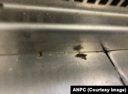 La magazinele Ikea din Capitală, inspectorii ANPC au găsit vitrine frigorifice care prezentau zone cu rugină, mucegai, cu acumulări de apă, insecte moarte, resturi alimentare în strat grosier și praf la zona ventilatoarelor