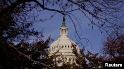 Ініціативу пропонує двопартійна група сенаторів, до якої входять Джин Шагін, Шелдон Вайтхаус, Джим Ріш, Чак Ґресслі, Ричард Блюменталь і Ліндсі Грем