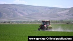 Полевые работы в Джалал-Абадской области. Иллюстративное фото.