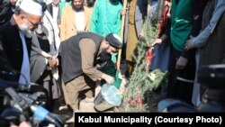 عکس از آرشیف- کمپاین نهال شانی در کابل