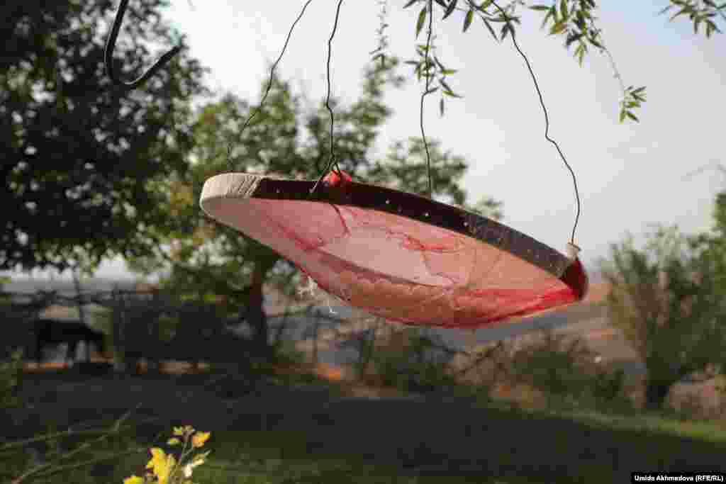 "Доспевающий" курт на джайляу Бола-Аулие.&nbsp;