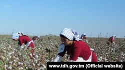 Türkmenistanyň döwlet telekanalyndan alnan surat