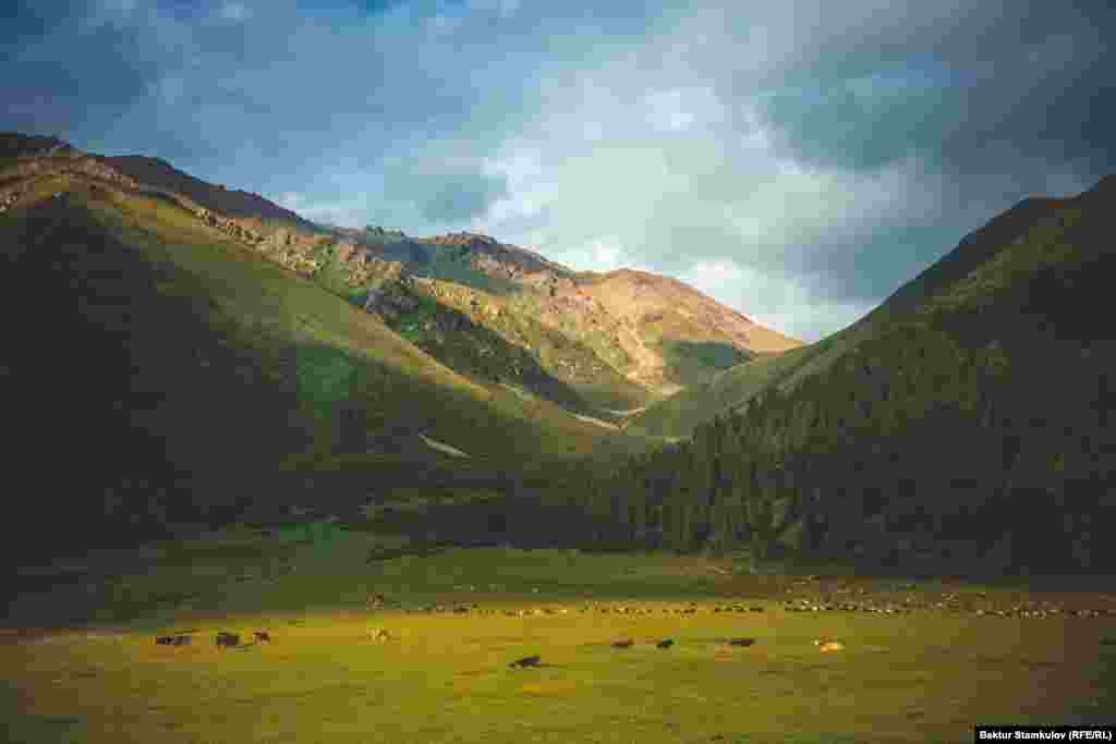 Ущелье Турген. Иссык-Кульская область.&nbsp;