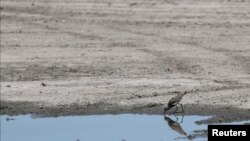 Laguna Navarro din regiunea argentiniană Buenos Aires, secată din cauza fenomenului La Niña în decembrie 2022. După patru luni, meteorologii au anunțat sfârșitul unei lungi perioade de dominație a acestui fenomen. 