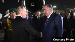 Владимир Путин жана Эмомали Рахмон. 2025-жылдын 8-октябры. Дүйшөмбү.