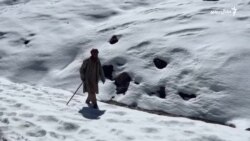 کشمير کې يخچالونه (ګلېشيېر) ولې په چټکۍ ويلېږي؟