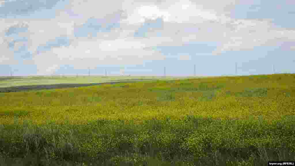 Бескрайние просторы Караларской степи овевает соленый воздух с Азовского моря. Холмы, усыпанные дикими цветами, тянутся до горизонта. Время, словно, замерло, здесь можно гулять часами и не встретить ни единой живой души. В Караларской степи нет величия Крымских гор, пафоса Южного берега Крыма, но есть свое особое, скромное очарование