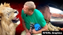 Коллаж. Собственник зоопарков «Тайган» и «Сказка» в Крыму Олег Зубков и лев