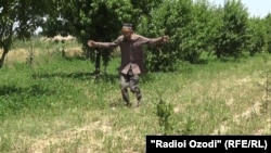 Таджикский фермер показывает руками масштабы нашествия саранчи