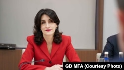 საია მიიჩნევს, რომ ბოჭორიშვილის მიერ დიპლომატიური სამსახურის გავლის წესების შეცვლა არის საჯარო მოხელეებისკენ მიმართული რეპრესიების გაგრძელება.