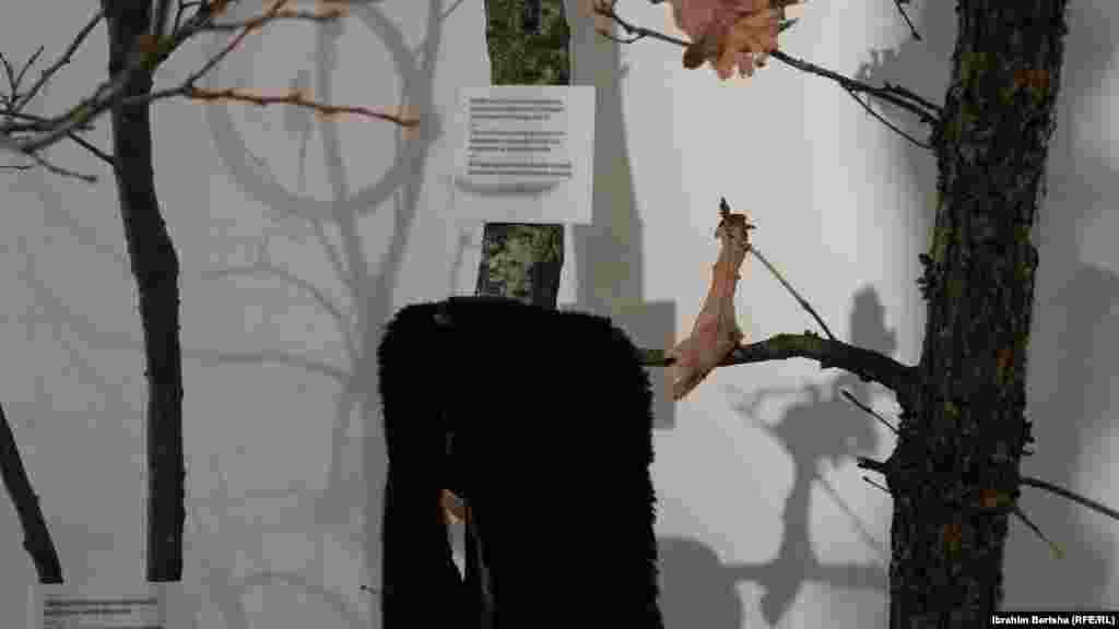 Muzeu "Moment" shërben si një hapësirë kujtimi dhe nderimi për të gjithë ata që kanë përjetuar dhunë seksuale, duke ngritur zërin për drejtësi dhe mbështetje për të mbijetuarit.