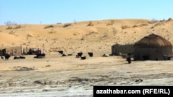Чабанское стойбище в пустыне Каракум. Туркменистан (иллюстративное фото)  