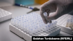 Иллюстрациялык сүрөт.