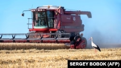 Combină pe un lan de orz, regiunea Harkov, 2022.