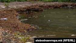 Prljava voda kod obale Ohridskog jezera.