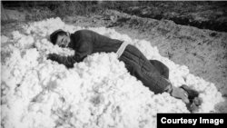 Колхозный работник отдыхает на груде хлопка. Фото Макса Пенсона