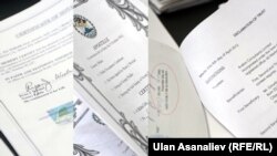 Кыргызстандын бийлиги жарыялаган Белизден келген документтердин сүрөтү