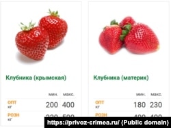 Вартість полуниці в Криму та сусідній Росії, за даними сімферопольського ринку «Привоз», червень 2025 року