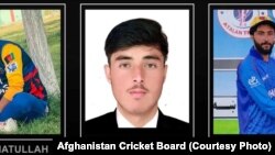 دری وژل شوِي افغان کرکټران