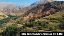 Беш-Арал коругу.