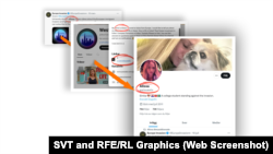 Arhivele dezvăluie o legătură directă între Europe Invasion, cuplul Kok și persoana fictivă „Alissa”.