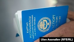 Иллюстрациялык сүрөт. 