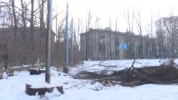 Шаар тургундары бактарды кыюуга каршы