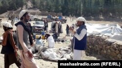 له حکومتي ارقامو سر سم، په پکتیکا کې شاوخوا ۳،۰۰۰ وزیرستانۍ کورنۍ اوسي.