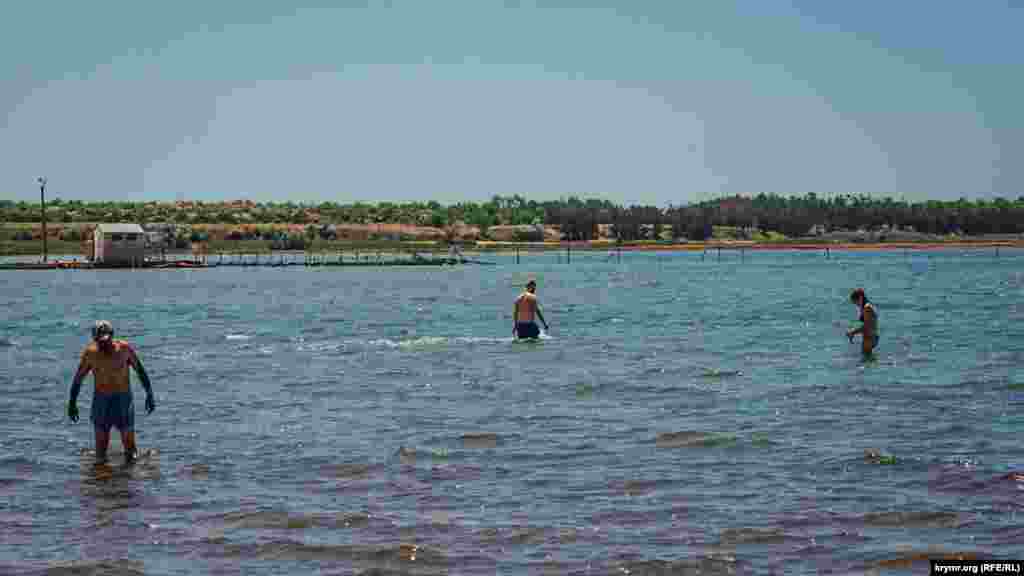 Люди достают черную целебную грязь из озерного илистого дна