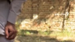 سوات کې د زعفرانو د کښت لومړۍ "بریالۍ" ازموینه شوې ده