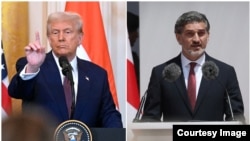 ფოტოკოლაჟი: დონალდ ტრამპი (მარცხნივ) და მიხეილ ყაველაშვილი.