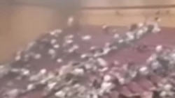 Усиление рейдов и ухудшение положения мигрантов в России. Что произошло за год после атаки на «Крокус» 