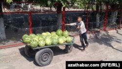 Illýustrasiýa suraty