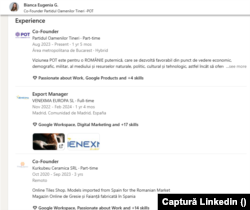 CV-ul Biancăi Gavrilă de pe LinkedIn.
