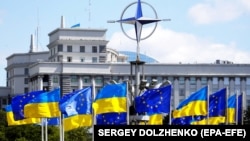 Міністерство закордонних справ заявило 3 грудня, що Україна не погоджується на жодні альтернативи, сурогати чи замінники повноправного членства України в НАТО