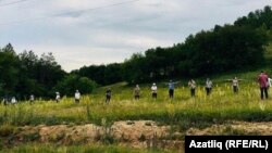 Куштауны яклау флешмобы