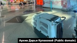 Первое фото Дарьи Кулаковой по прилету в Португалию