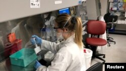 Prizor iz jedne laboratorije u New Yorku, 5. maj