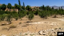 د میدان وردګو په نرخ ولسوالۍ کې وروستي سېلاب د مڼو باغونو ته زیان اړولی - د جولای دویمې انځور.