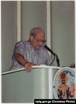 დავით მუსხელიშვილი, ისტორიკოსი