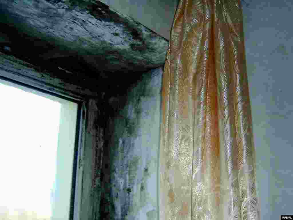 Қабырғаларға саңырауқұлақтар шығуда, зеңдерді жою мүмкін емес.  - Грибки появляются на стенах в комнатах вновь и вновь, несмотря на борьбу с ними самих жильцов. Плесень неистребима.  