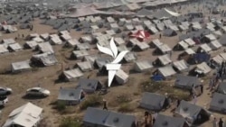 د ګوندونو سیاستوالان د پښتنو قامي جرګې ته ویناګانې کوي