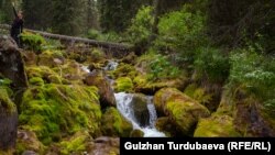 Кыргызстан. Кегети.