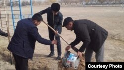 Учителя одной из школ Миришкорского района сажают дерево
