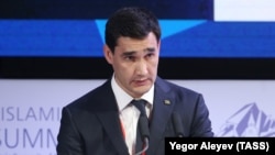 Сердар Бердымухамедов, Түркмөнстандын вице-премьер-министри