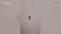 Supermarketurile au fost închise temporar în urma controalelor ANPC 