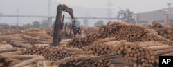 Platforma de prelucrare a lemnului deținută, până în august, de HS Timber Group.