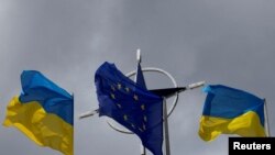 «Держави-члени НАТО засудили рішення Росії в односторонньому порядку вийти з «зернової угоди» та дії РФ, спрямовані на те, щоб зупинити експорт української сільськогосподарської продукції»