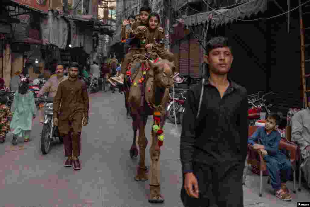 خواهر و برادری سوار بر شتر در یک خیابان شلوغ شهر لاهور پاکستان در مراسم جشن عید قربان