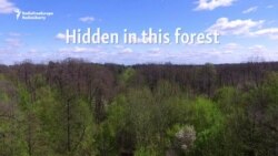 Springtime In The Tunnel Of Love